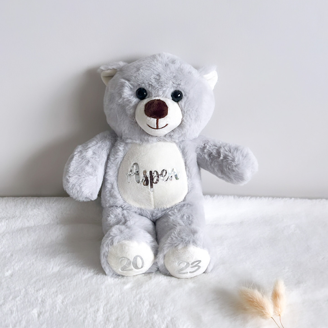 Baby's first hot sale teddy bear personalised