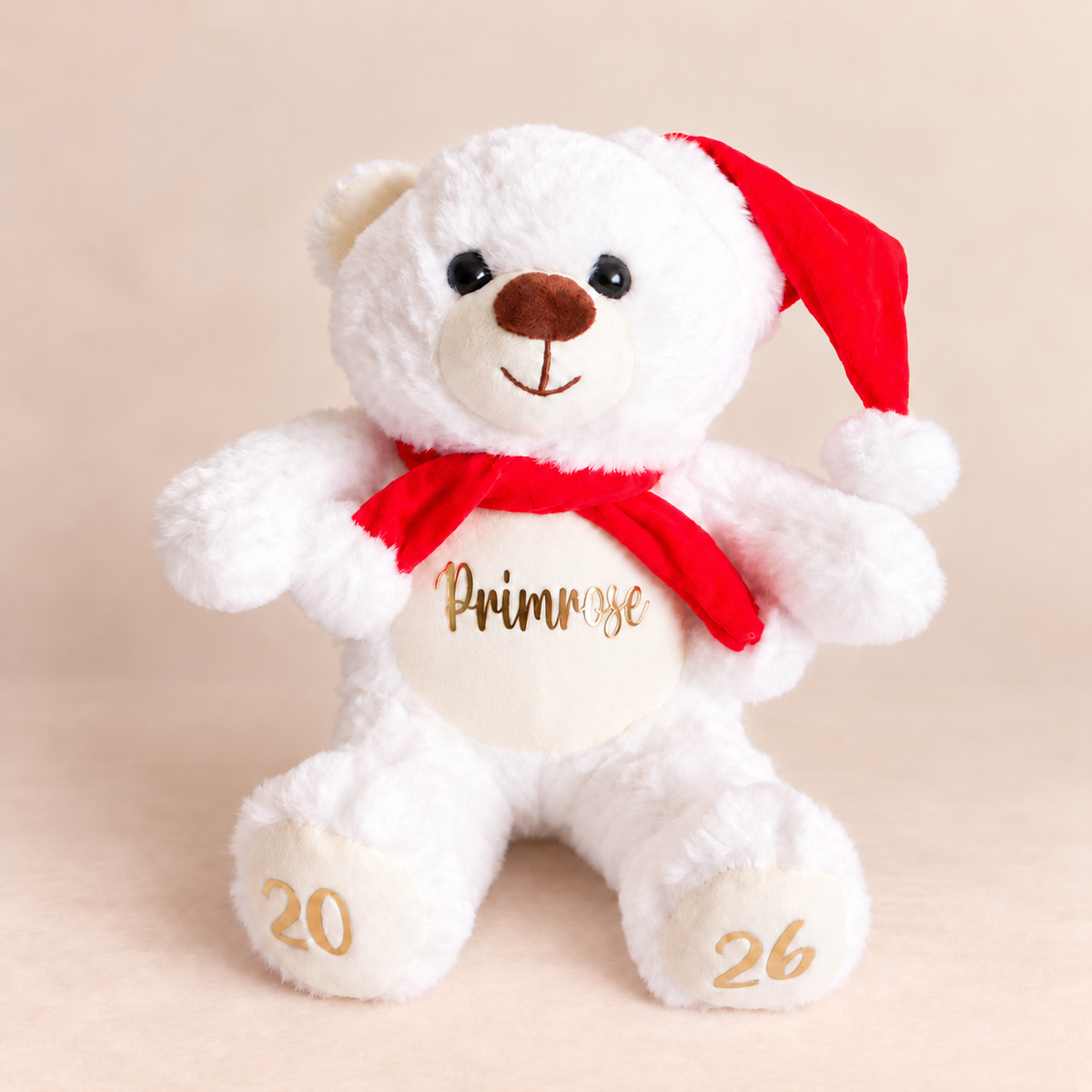 Santa Teddy Bear