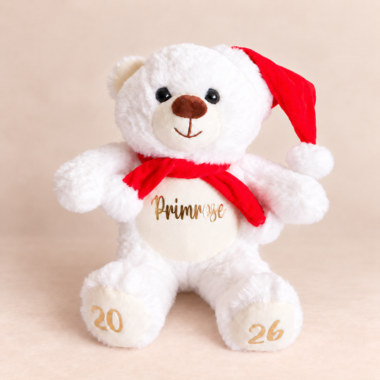 Santa Teddy Bear